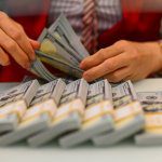 USDを数える人