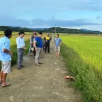 落雷事故の現場の畦道