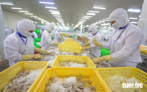 水産加工工場の作業風景