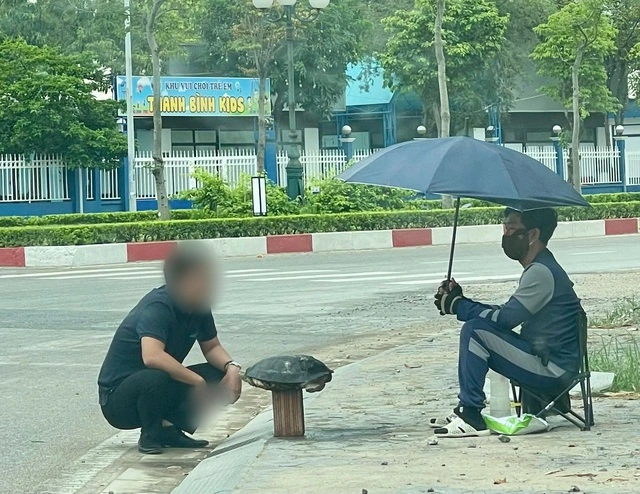 路上でヒジリガメを売る男