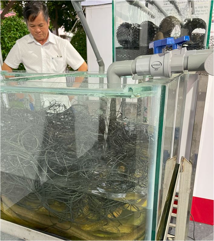 ジャパンフェスティバルで展示された水循環システムの水槽と養殖タウナギ