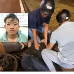 強盗殺人の容疑で逮捕された容疑者