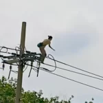 電線を渡ろうとする女性