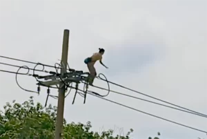 電線を渡ろうとする女性