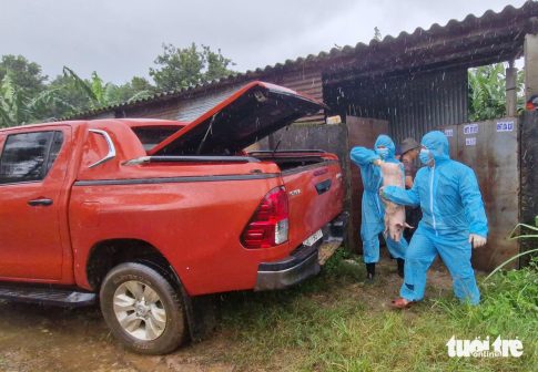 アフリカ豚熱で殺処分された養豚場