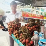 ベトナムの路上で販売されるライチ