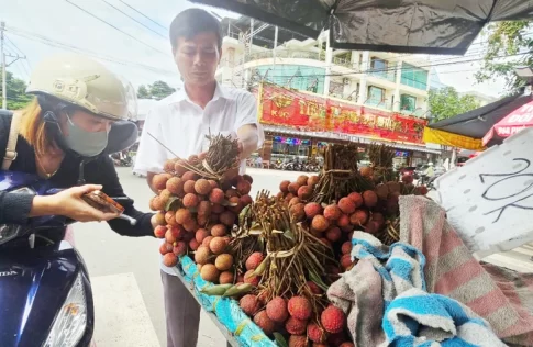 ベトナムの路上で販売されるライチ
