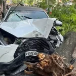 事故で街路樹に衝突した車