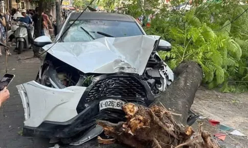 事故で街路樹に衝突した車
