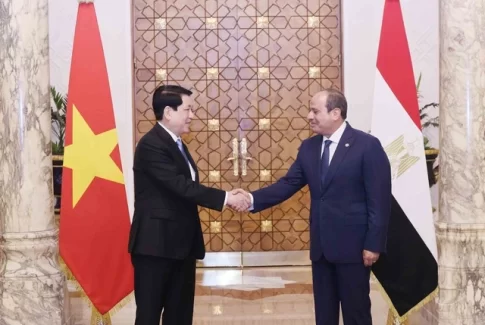 握手するベトナムのルオン・クオン国家主席とエジプトのアブドゥルファッターハ・エルシーシ大統領