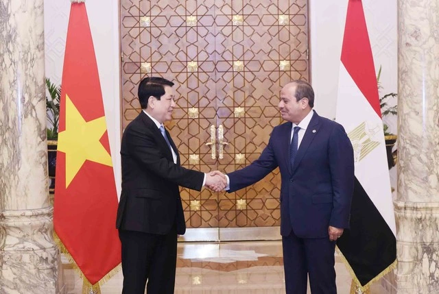 握手するベトナムのルオン・クオン国家主席とエジプトのアブドゥルファッターハ・エルシーシ大統領