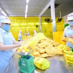 ベトナムの食品加工工場