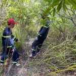 行方不明の登山者を探す捜索隊