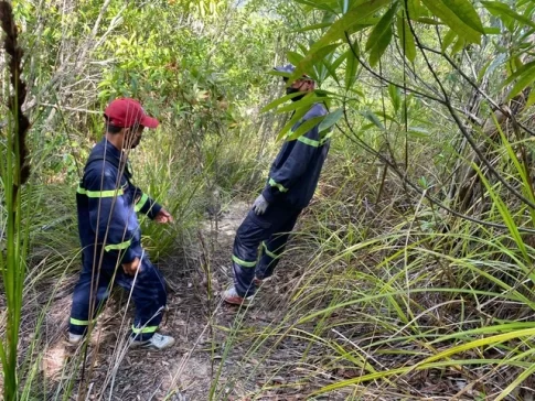 行方不明の登山者を探す捜索隊