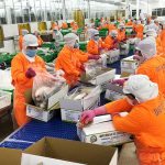 ベトナムの水産加工工場