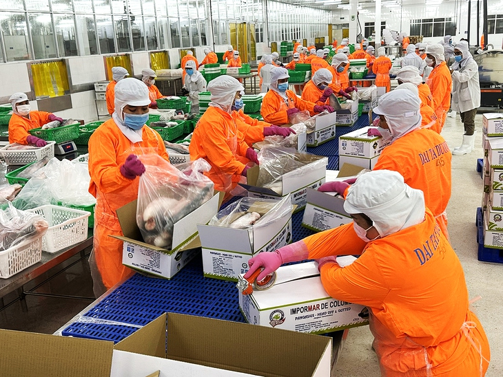 ベトナムの水産加工工場