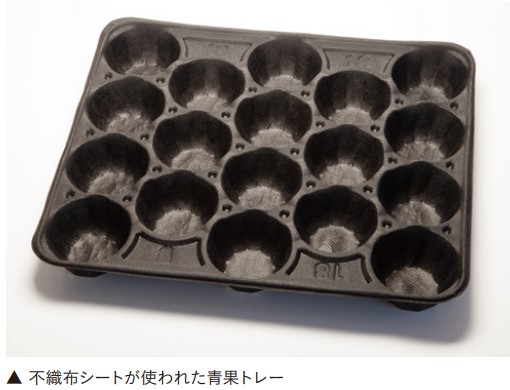 不織布シートが使われた果物トレー