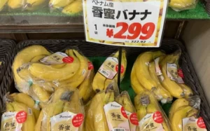 日本で販売されるベトナム産バナナ