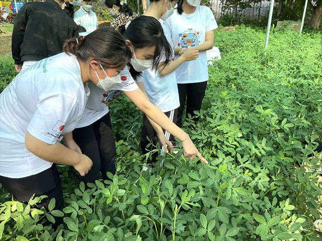 学校菜園に集まった学生