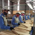 ベトナムの木材加工会社の労働者