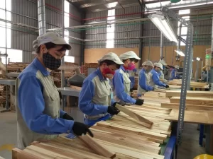 ベトナムの木材加工会社の労働者