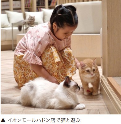 猫カフェで猫と遊ぶ子供