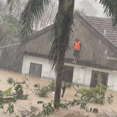 屋根に上って救助を待つ市民