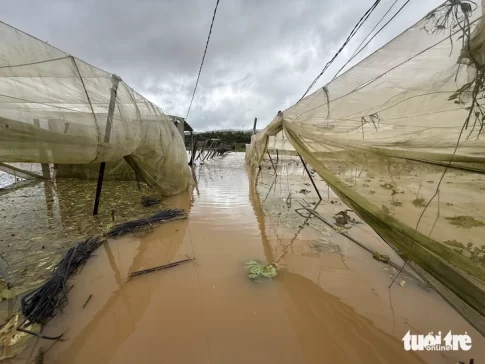 洪水の被害を受けたチョウザメ養殖場