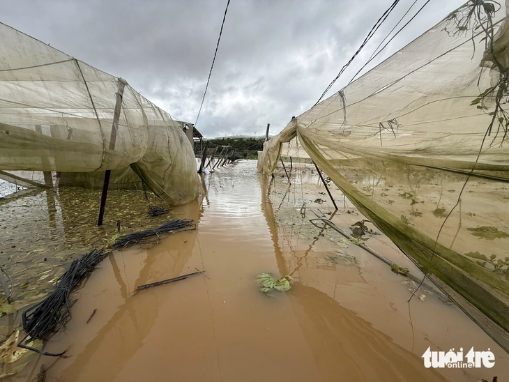 洪水の被害を受けたチョウザメ養殖場