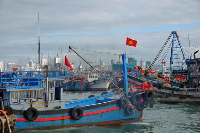 台風に備えて非難するカインホア省の漁船