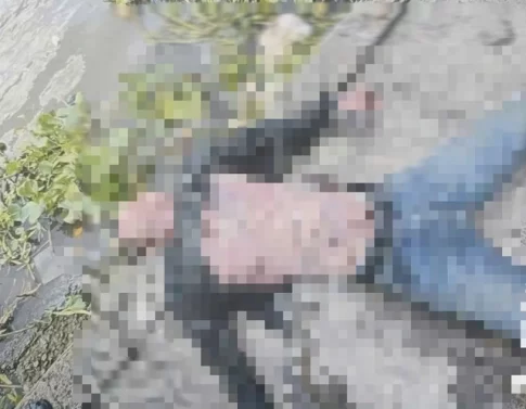 発見された遺体