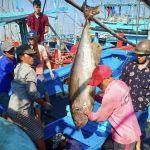 ベトナムの漁師