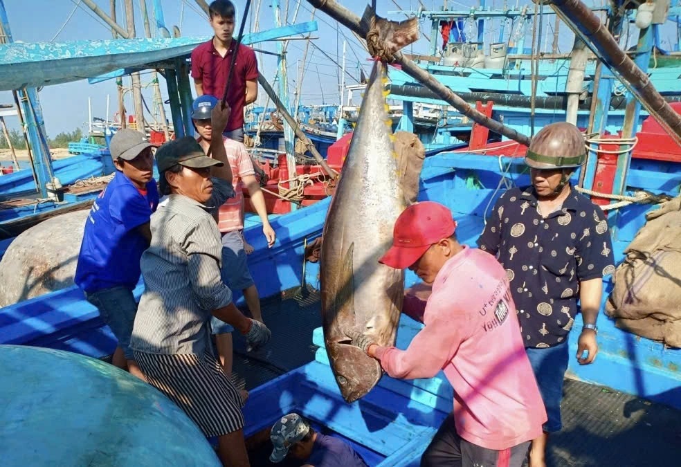 ベトナムの漁師