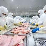 ベトナムのパンガシウス加工工場