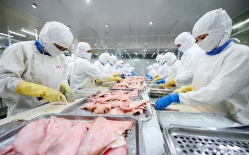 ベトナムのパンガシウス加工工場