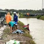 落雷事故の起きたエビ養殖場