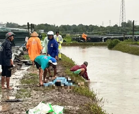 落雷事故の起きたエビ養殖場
