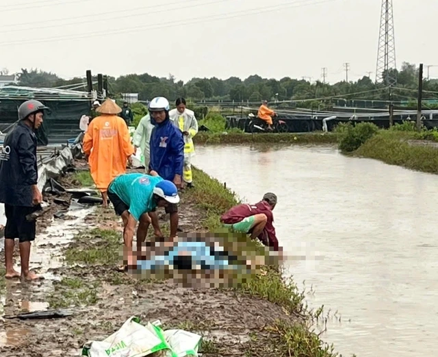 落雷事故の起きたエビ養殖場