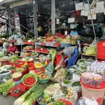 ベトナムの市場に並ぶ野菜