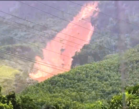 山の斜面で発生しただし規模な土砂崩れ
