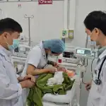 病院で治療を受ける新生児
