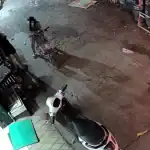5歳女児のイヤリングを奪う女
