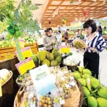 ベトナムで最も歴史の古いスーパーであるコープマートの販売風景