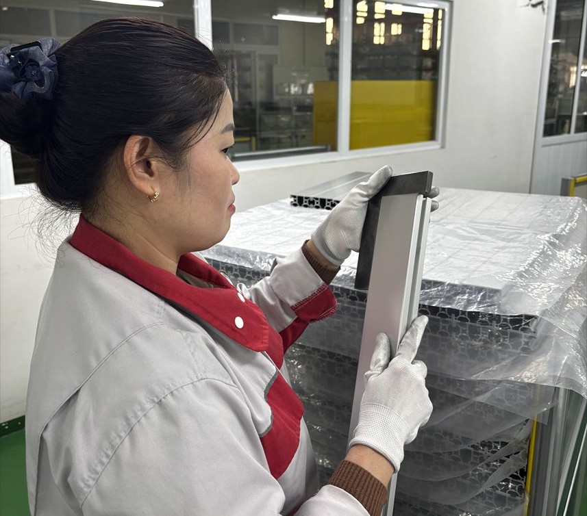 製品の検査を行うSUS Vietnamの女性社員