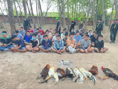 ホーチミン市で違法な闘鶏賭博に関与したとして摘発された人々
