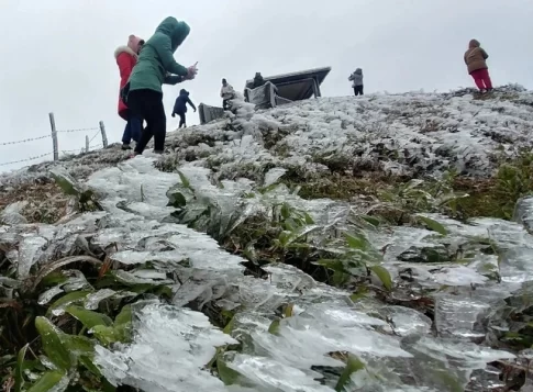 今年に入ってからのカンパによりベトナム北部山岳地帯で観測された霜