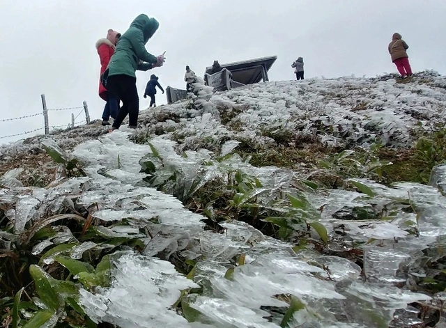 今年に入ってからのカンパによりベトナム北部山岳地帯で観測された霜