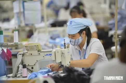ベトナムの縫製工場で働く労働者