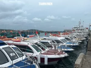フーコック島のアントイ港に停泊する観光用船舶