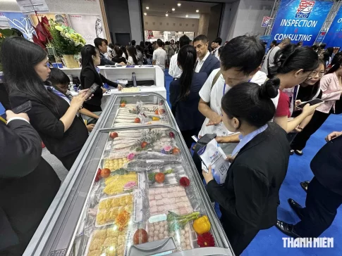 ベトナムで行われた水産物輸出国際展示会の様子